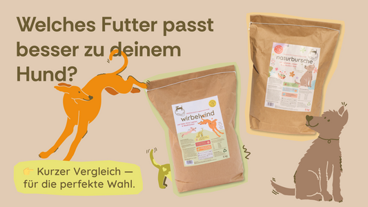 Wirbelwind vs. Naturbursche: Welches vegane Trockenfutter passt besser zu deinem Hund? 🐶🌿