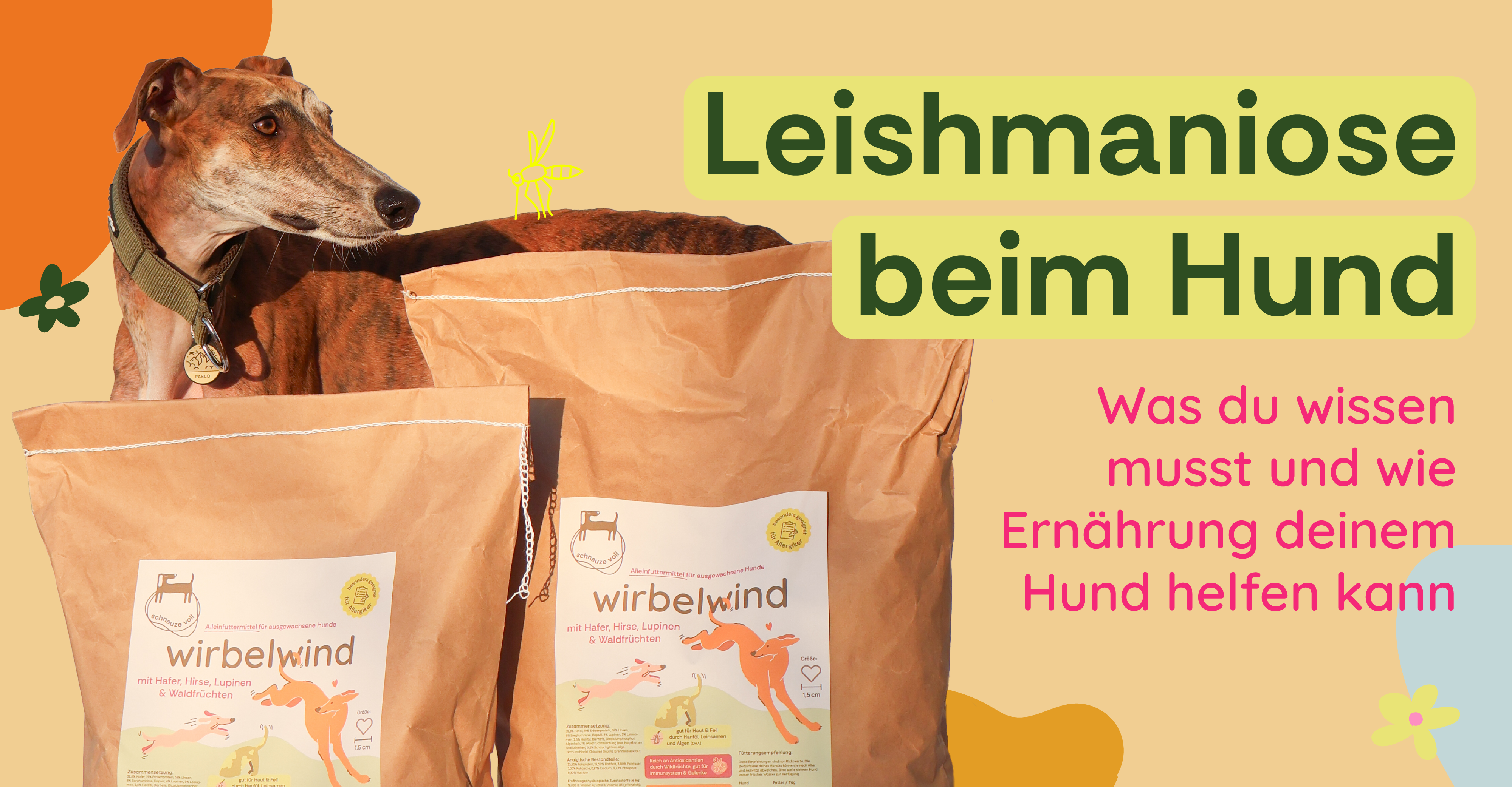 Leishmaniose beim Hund: Was du wissen musst und wie Ernhrung helfen k   schnauze voll Hundefutter