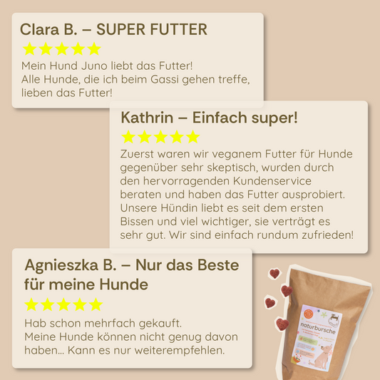 Probierpaket S - Frühlings Edition 🌸🐕