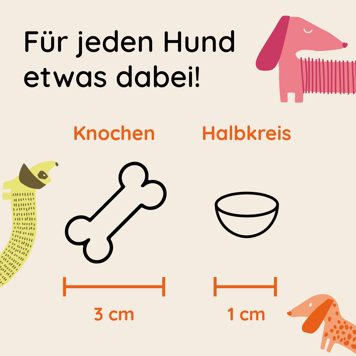 rote bertha — die Robuste