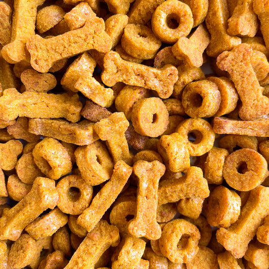 lotta carotta — die Vitaminbombe