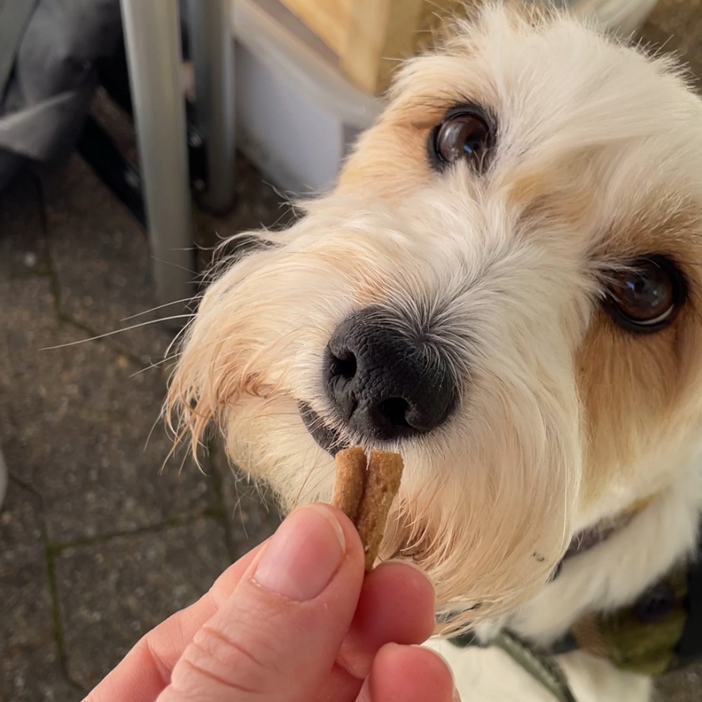 häppy snäcks — mit Kartoffel, Himbeere & Fenchel