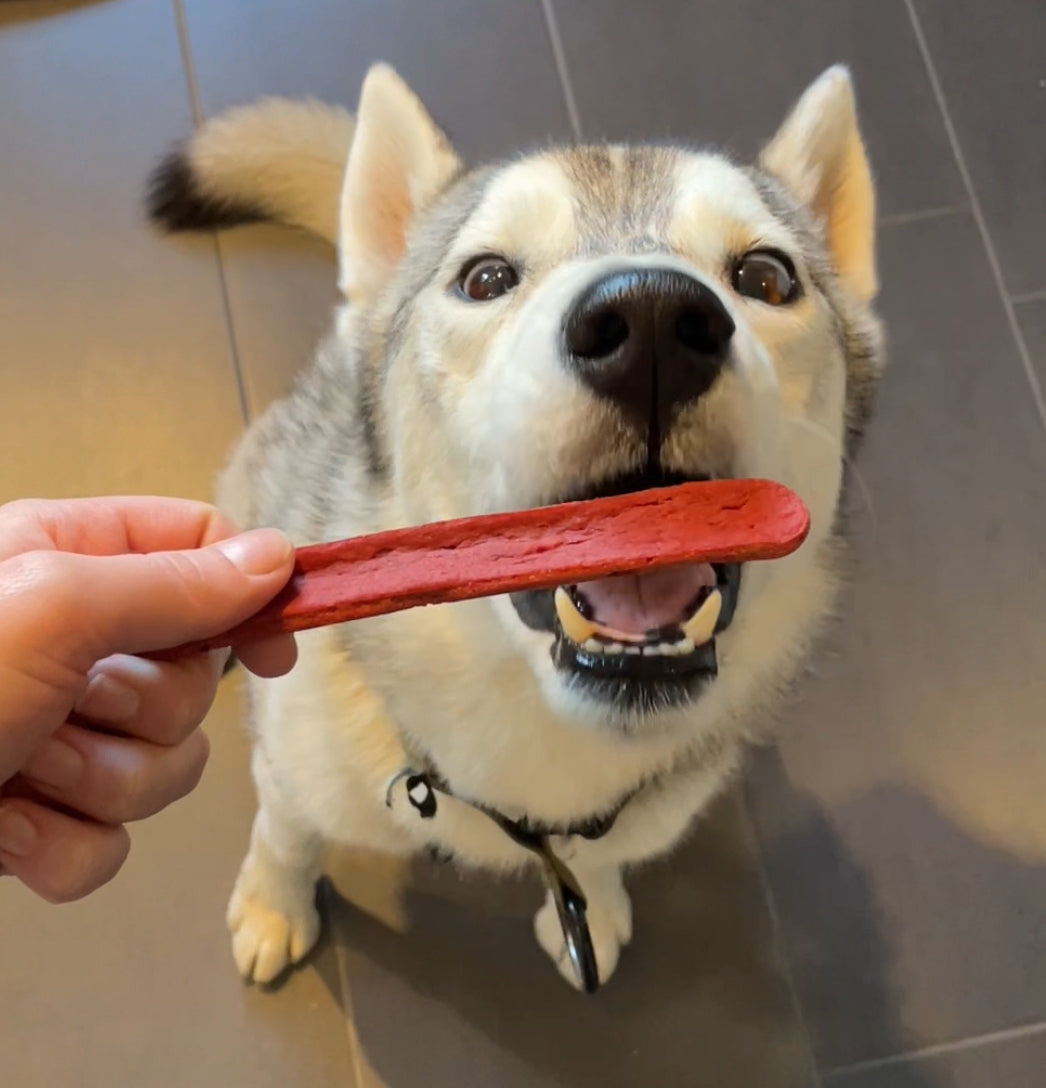 rote bertha — die Robuste Knabberstangen 10 Stk.