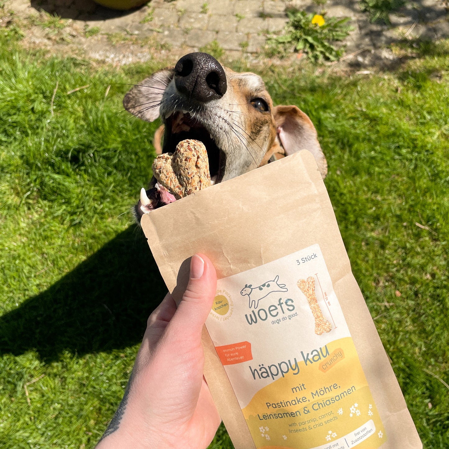 häppy kau — mit Pastinake, Möhre, Leinsamen & Chiasamen