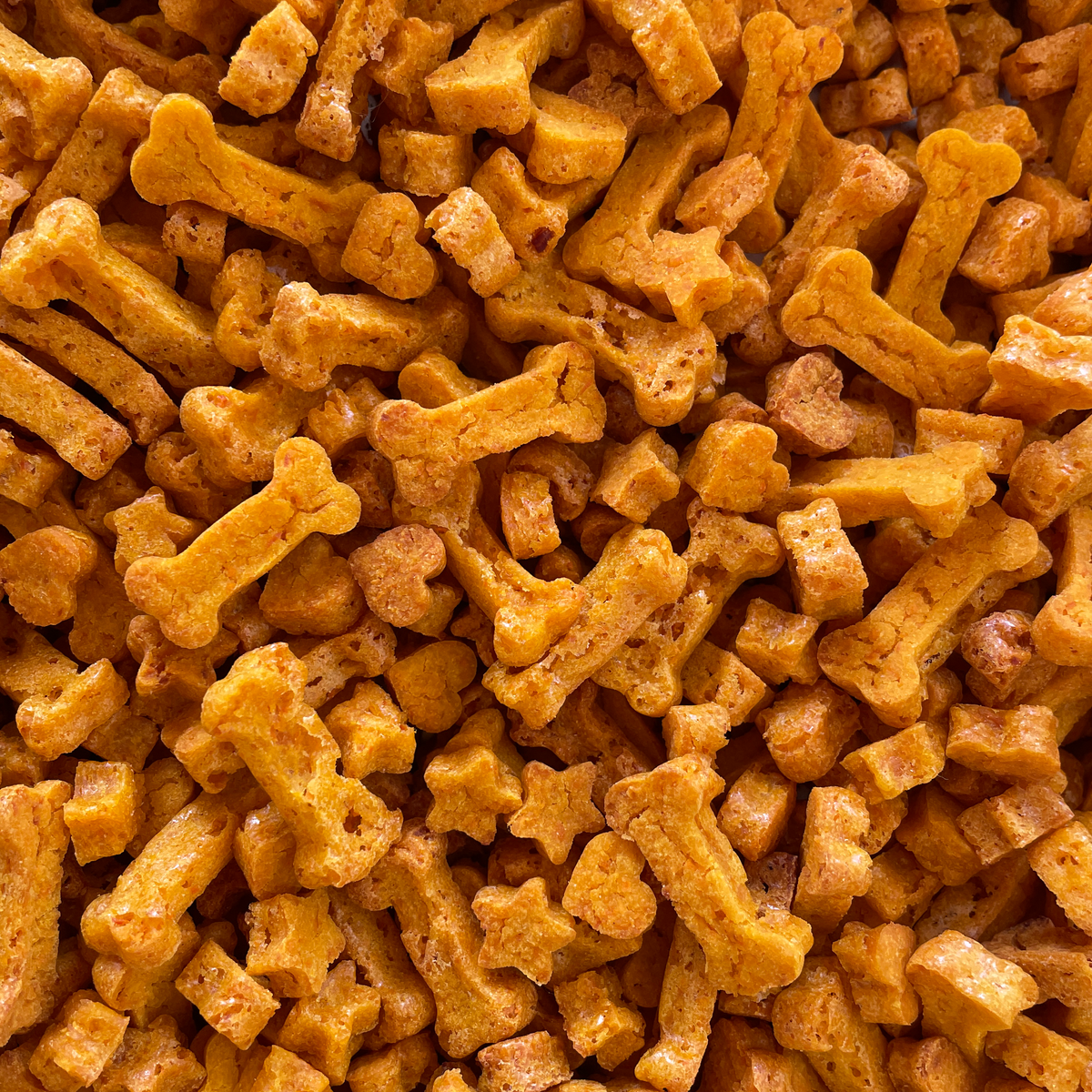 lotta carotta — pumpkin spiced