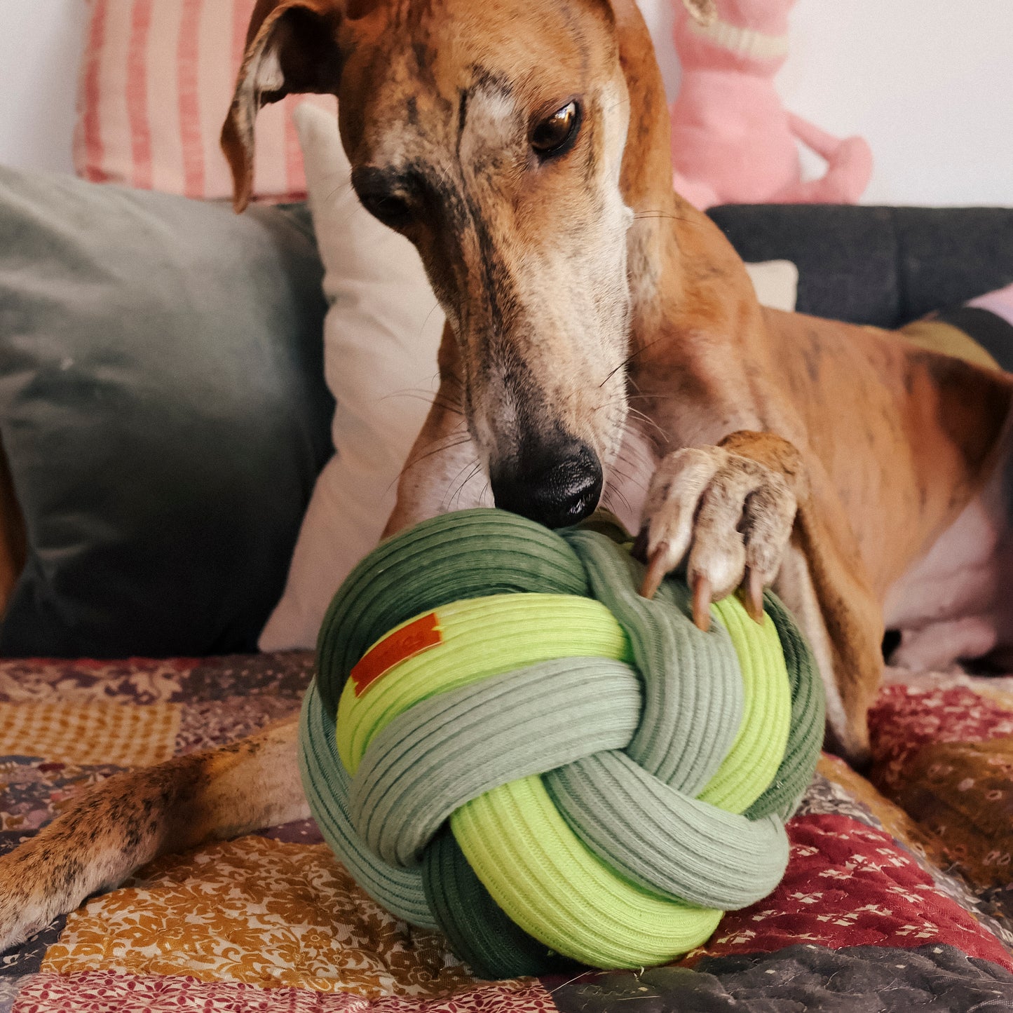 Geschenkpaket — Schnüffelball