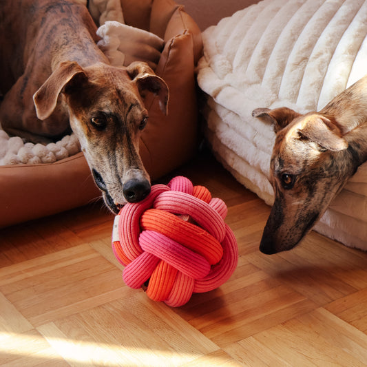 🌈 Twisty Ball – bunter Spielspaß zum Verlieben!