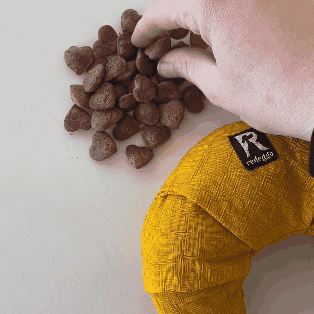 Häppy Schnüffelpaket – Leckerlis & Schnüffel-Spaß! 🐶 🥐