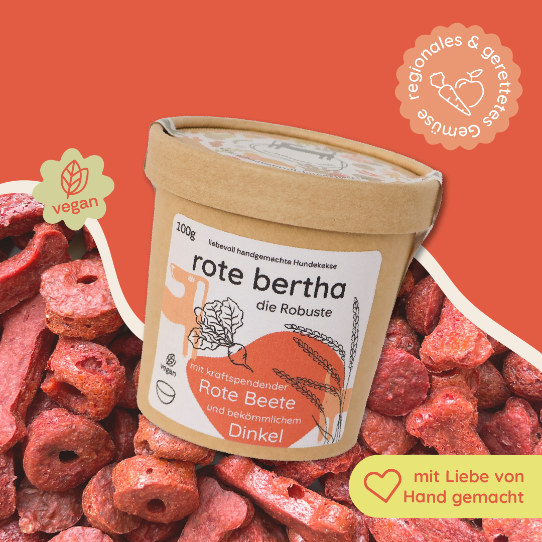 rote bertha — die Robuste