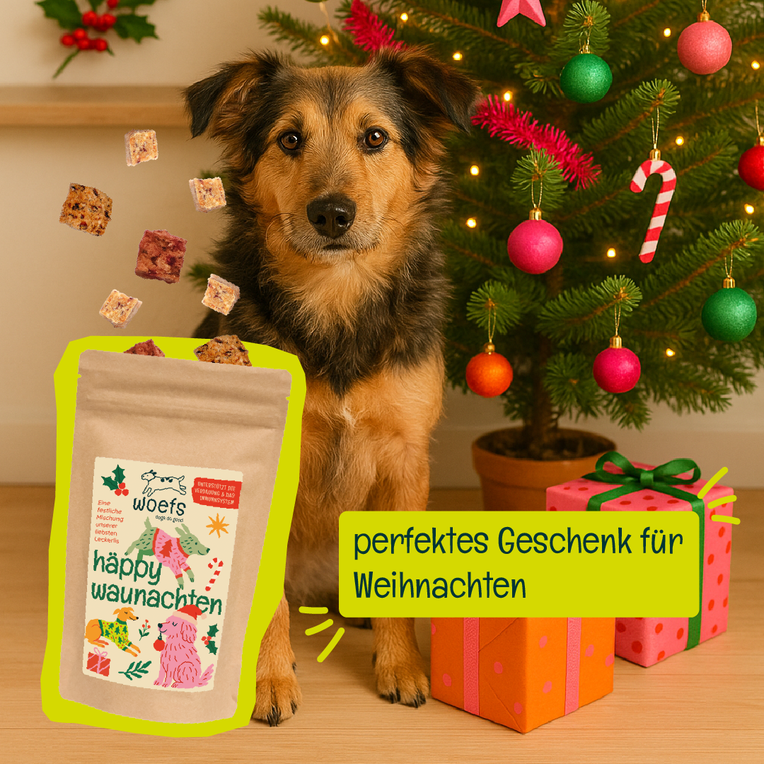 Geschenkpaket — 4x häppy waunachten 200g