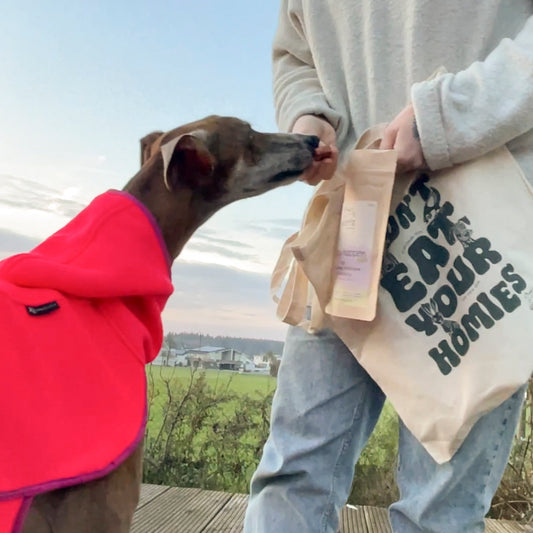 Probiers mal Veggie Probierpaket