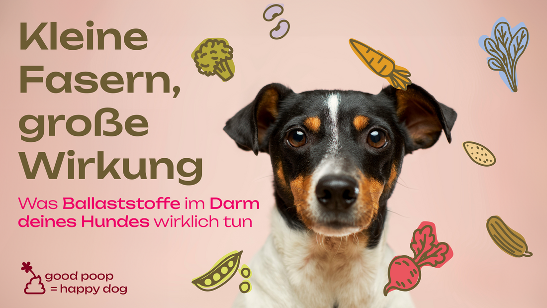Ballaststoffe beim Hund: Was sie im Darm bewirken und warum Pflanzen hier punkten