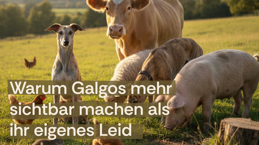 Warum wir zum ersten Mal auf einen Galgomarsch gehen und warum es für uns um mehr geht als nur Hunde