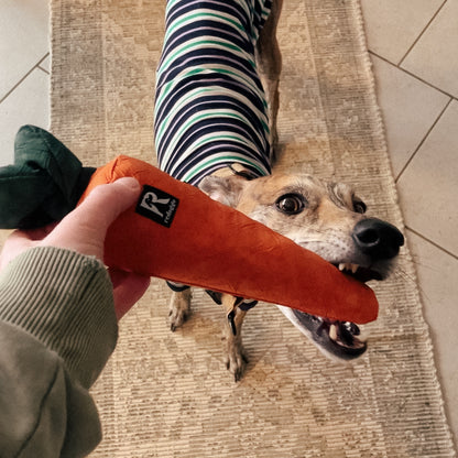 Häppy Schnüffelpaket – Leckerlis & Schnüffel-Spaß! 🐶