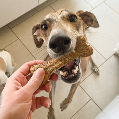 häppy kau — mit Pastinake, Möhre, Leinsamen & Chiasamen