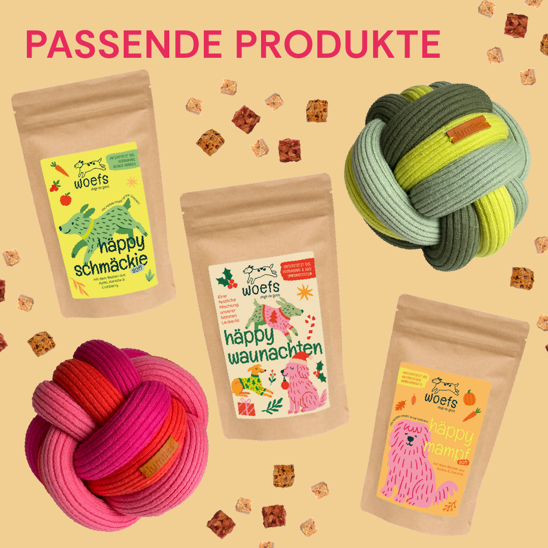 🌈 Twisty Ball – bunter Spielspaß zum Verlieben!