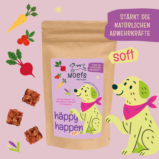 häppy happen — mit Rote Beete, Pastinake & Cranberry