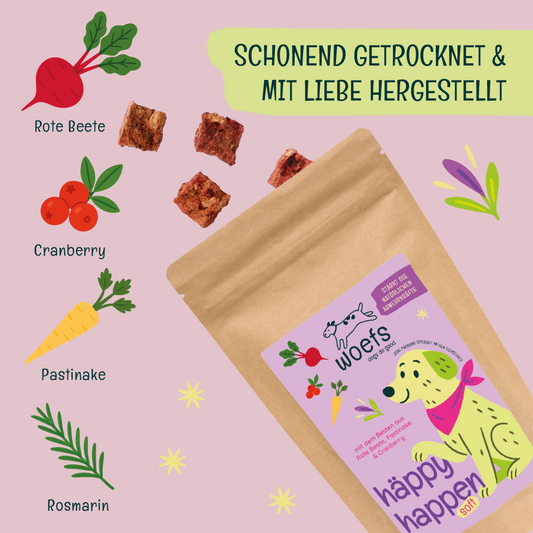 häppy happen — mit Rote Beete, Pastinake & Cranberry