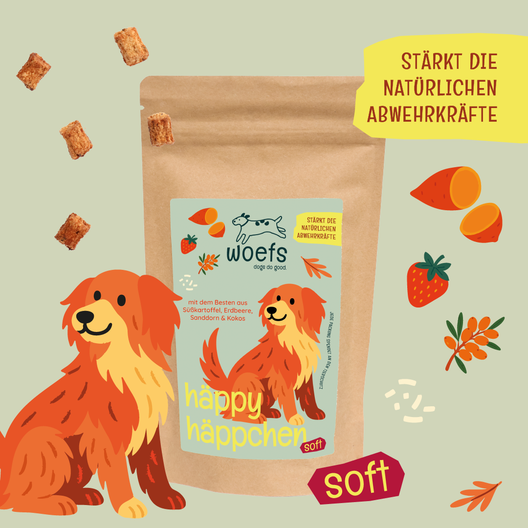 häppy häppchen — mit Süßkartoffeln, Erdbeeren, Sanddorn & Kokos