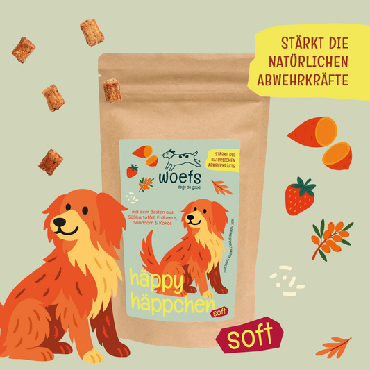 häppy häppchen — mit Süßkartoffeln, Erdbeeren, Sanddorn & Kokos