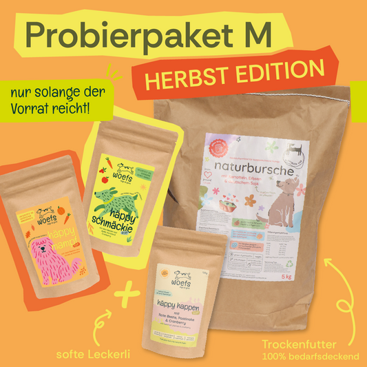 Probierpaket M - Herbst Edition 🍁🐕