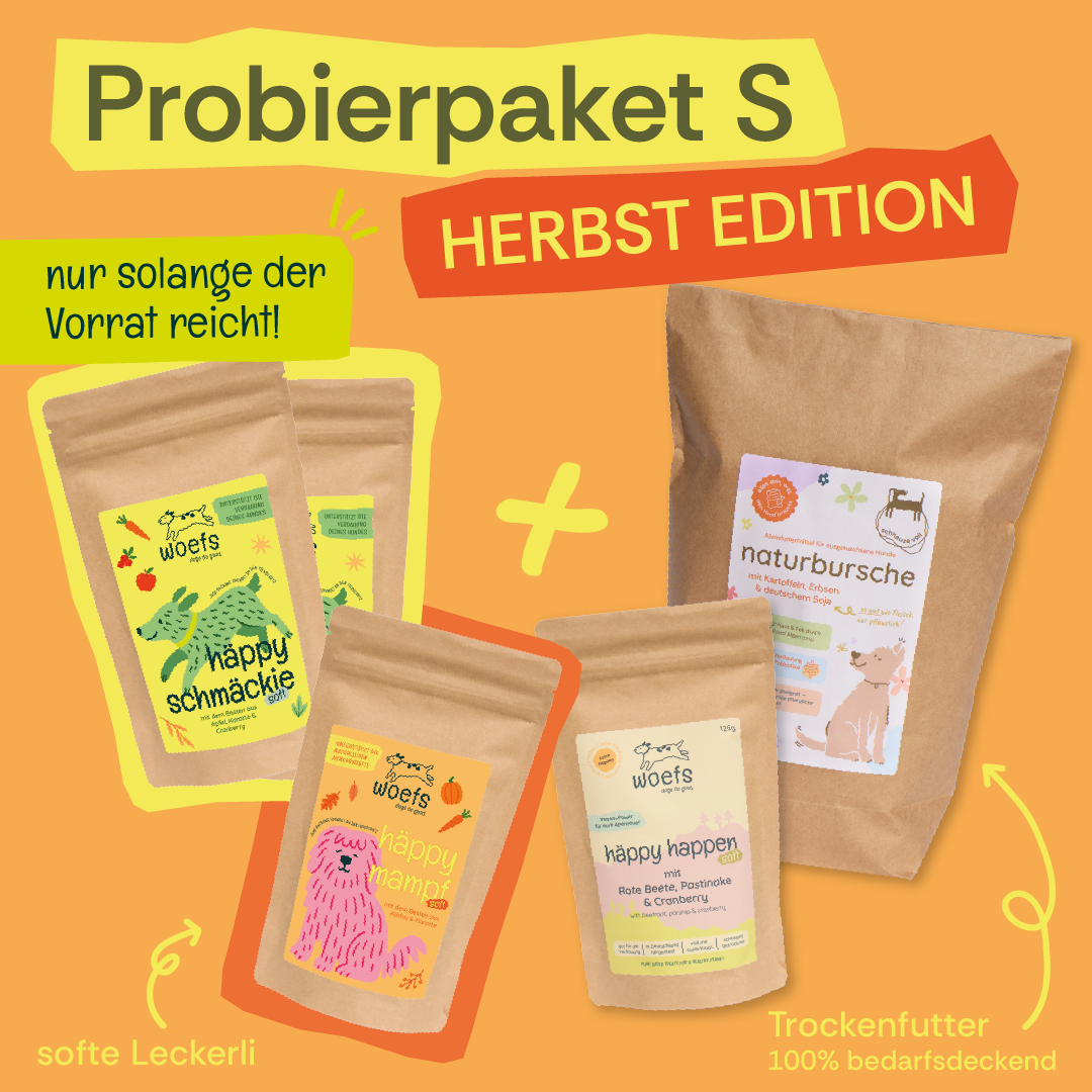 Probierpaket S - Herbst Edition 🍁🐕