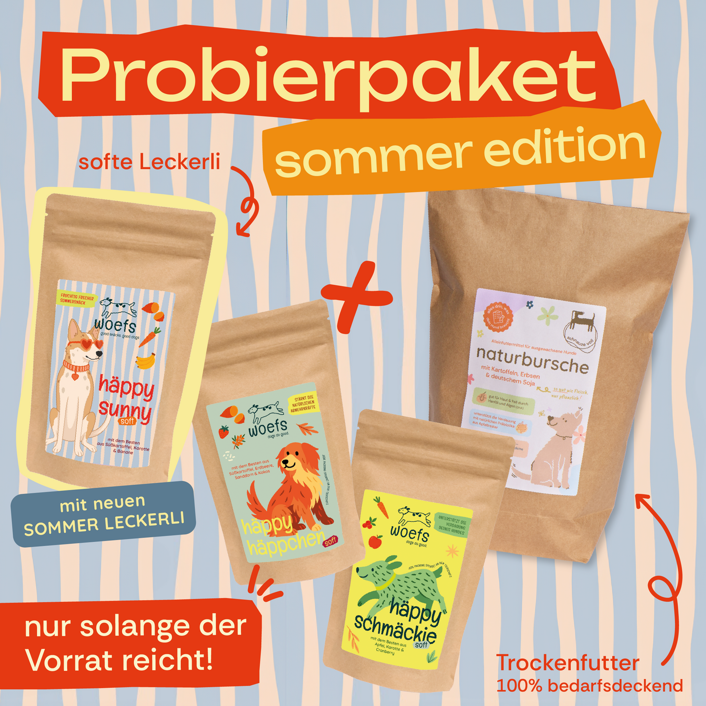 Probierpaket - Sommer Edition ☀️🐕