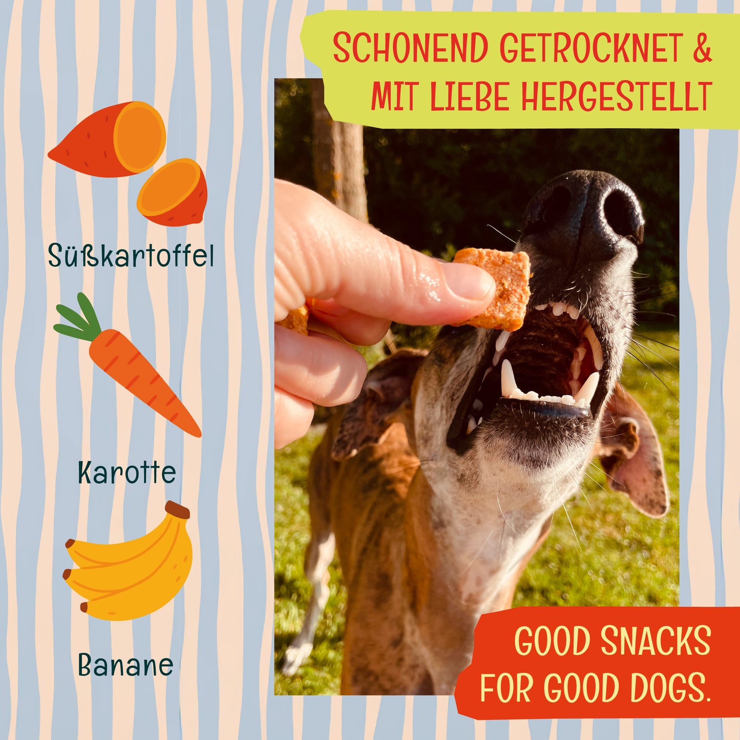 häppy sunnny — mit Süßkartoffel, Karotte & Banane