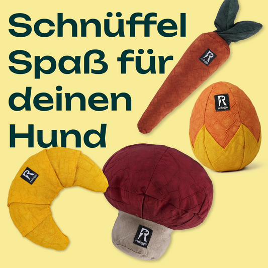 Redoggo Schnüffelkollektion – Croissant, Pilz, Karotte & Ei