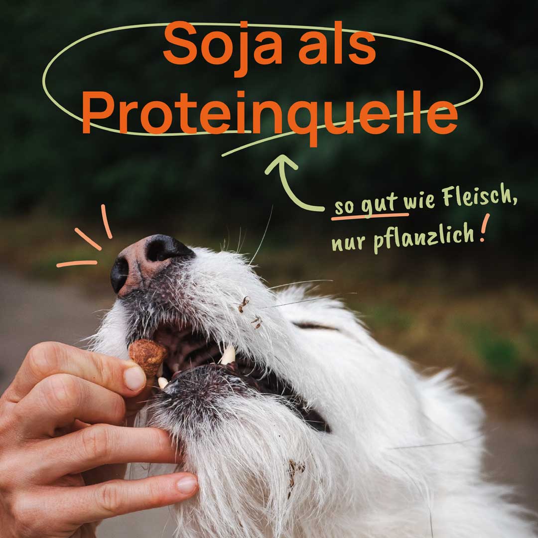 Probierpaket M - probier's mal einen Monat vegan 🌱