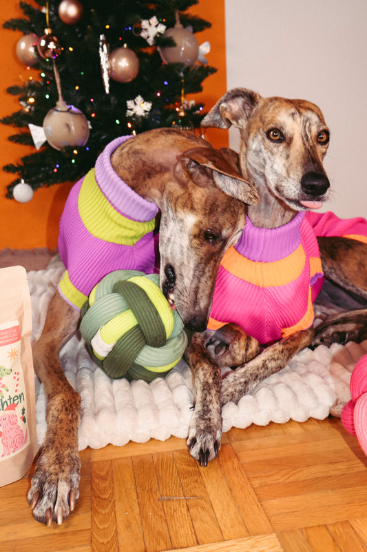 Geschenkpaket — Schnüffelball